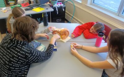 Exploring Hearing and Communication: A Hands-On Learning Experience